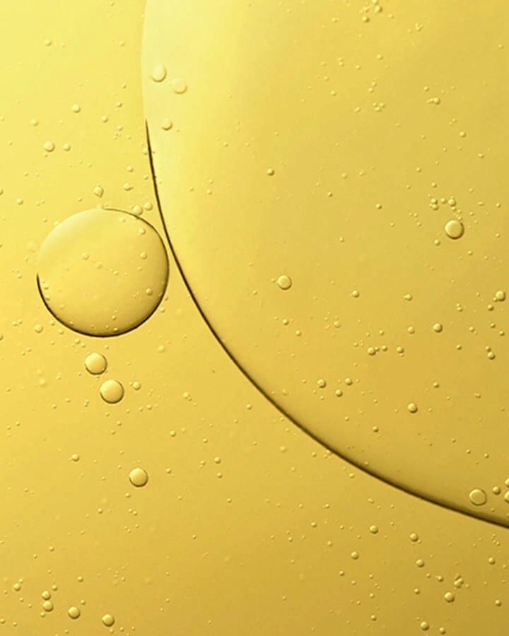 The Renewal Oil