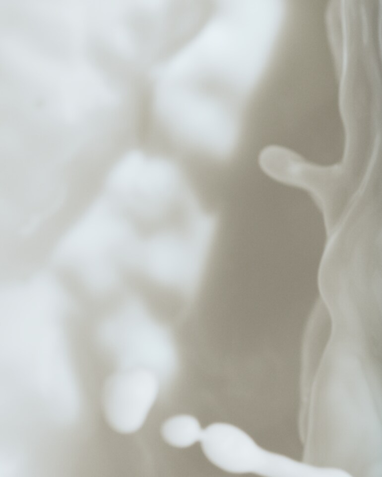 The Balancing Infused Emulsion 